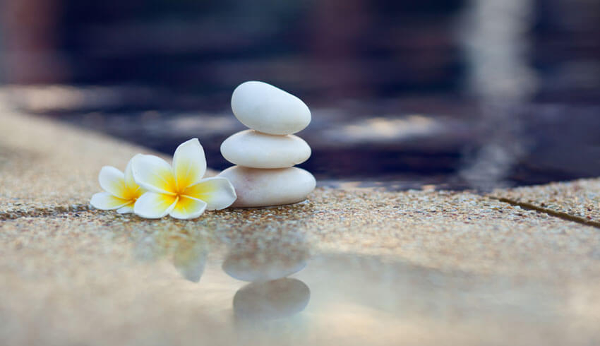 Decorative rocks and flower at spa